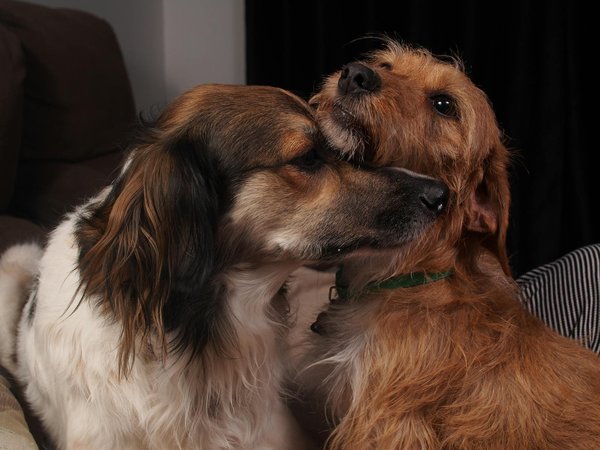 Top-Übungen zur Steigerung der Schulterflexibilität für Baseball-Pitcher: So optimierst du deine Wurfleistung!